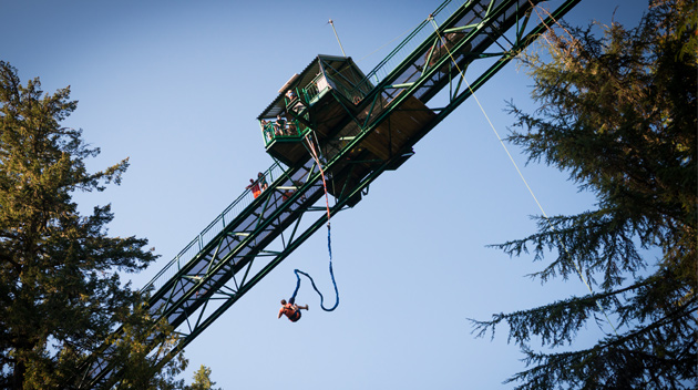 bungee jumping